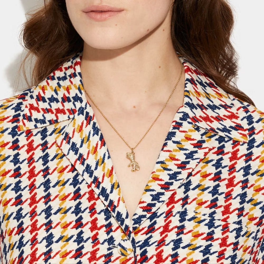 Coach Rexy Chain - Picture 3 of 6